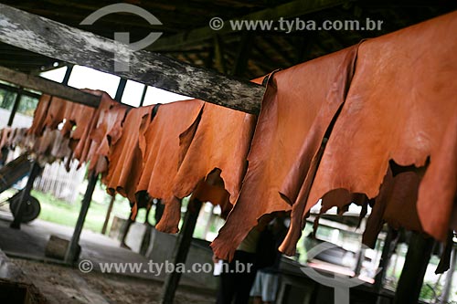  Tanning of buffalo leather - Curtume Marajo  - Soure city - Para state (PA) - Brazil