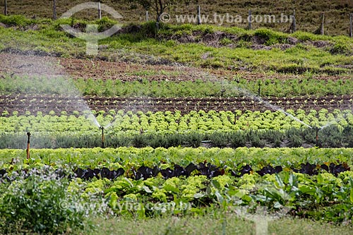  Kitchen garden - Vale das Palmeiras Farm  - Teresopolis city - Rio de Janeiro state (RJ) - Brazil