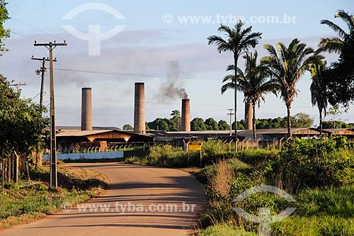  General view of pottery  - Porto Velho city - Rondonia state (RO) - Brazil