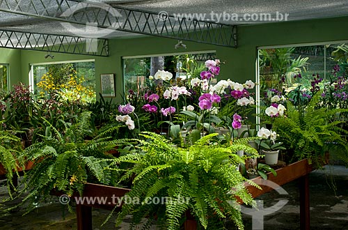  Inside of old Aranda Orchid Nursery, current AraBotanica Space  - Teresopolis city - Rio de Janeiro state (RJ) - Brazil