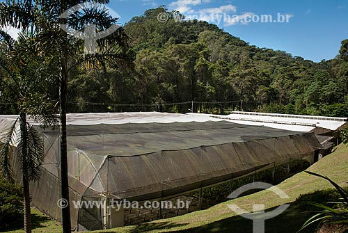  View of greenhouse of old Aranda Orchid Nursery, current AraBotanica Space  - Teresopolis city - Rio de Janeiro state (RJ) - Brazil