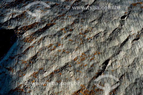  Detail of stone with fungus - Ibitipoca State Park  - Lima Duarte city - Minas Gerais state (MG) - Brazil