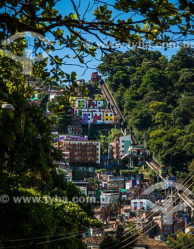  View of Santa Marta Slum  - Rio de Janeiro city - Rio de Janeiro state (RJ) - Brazil