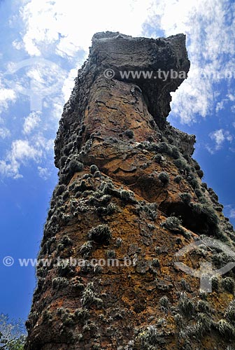  O Cao (The Dog) - sandstone formation of the Vila Velha State Park  - Ponta Grossa city - Parana state (PR) - Brazil