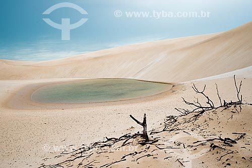  Small lagoon - Lencois Maranhenses National Park  - Barreirinhas city - Maranhao state (MA) - Brazil