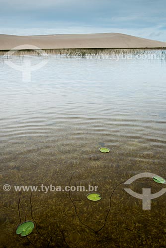  Lagoon - Lencois Maranhenses National Park  - Barreirinhas city - Maranhao state (MA) - Brazil