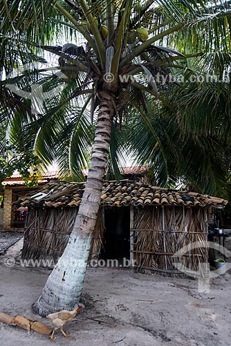  Thatch house near to Lencois Maranhenses National Park  - Barreirinhas city - Maranhao state (MA) - Brazil