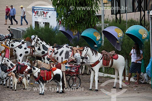  Handmade horses used for souvenir photos - Romeiros Square (Pilgrims Square) - opposite to Nossa Senhora das Dores Basilica Sanctuary  - Juazeiro do Norte city - Ceara state (CE) - Brazil