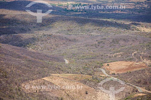  Caatinga vegetation view from the State Road CE-060 on the descent of Baturite Mountain Range  - Baturite city - Ceara state (CE) - Brazil