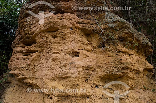  Sandstone formation - Araripe Geopark  - Nova Olinda city - Ceara state (CE) - Brazil