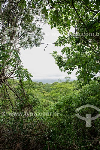  General view of Araripe-Apodi National Forest  - Nova Olinda city - Ceara state (CE) - Brazil