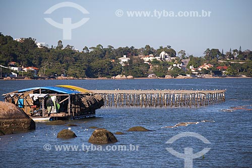  Oysters farm - North Bay  - Florianopolis city - Santa Catarina state (SC) - Brazil