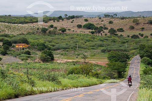  View of cerrado vegetation - CE-292 highway near to Nova Olinda city  - Nova Olinda city - Ceara state (CE) - Brazil