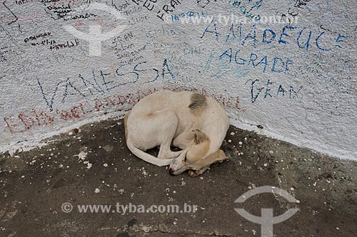  Detail of dog lying - base of statue of Padre Cicero - Horto Hill  - Juazeiro do Norte city - Ceara state (CE) - Brazil