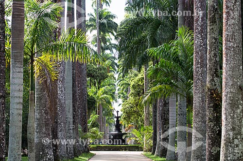  Imperial palms - Botanical Garden of Rio de Janeiro - with fountain of the Muses in the background  - Rio de Janeiro city - Rio de Janeiro state (RJ) - Brazil
