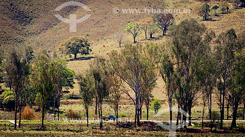  View of the rural area of Soledade de Minas city  - Soledade de Minas city - Minas Gerais state (MG) - Brazil