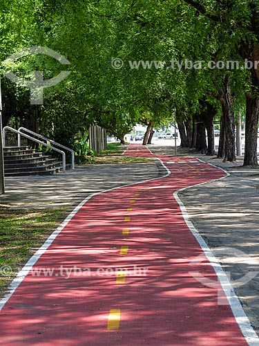  Bike lane - Loureiro da Silva Avenue  - Porto Alegre city - Rio Grande do Sul state (RS) - Brazil
