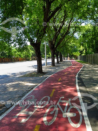  Bike lane - Loureiro da Silva Avenue  - Porto Alegre city - Rio Grande do Sul state (RS) - Brazil