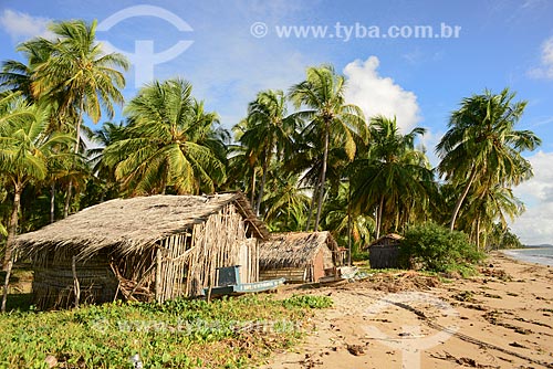  Houses - caicara community near to Porto de Pedras city - Alagoas Ecological Route  - Porto de Pedras city - Alagoas state (AL) - Brazil