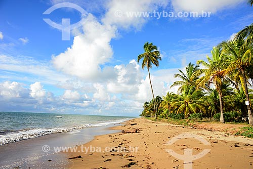  View of Patacho Beach waterfront - Alagoas Ecological Route  - Porto de Pedras city - Alagoas state (AL) - Brazil
