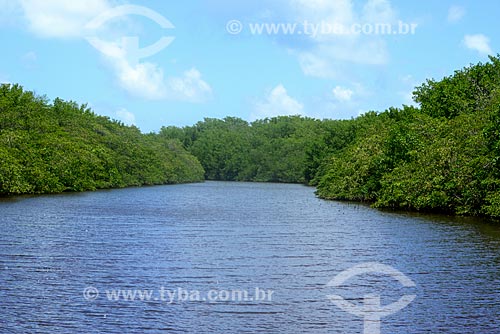 View of Tatuamunha River - Manatee Project area - Alagoas Ecological Route  - Porto de Pedras city - Alagoas state (AL) - Brazil