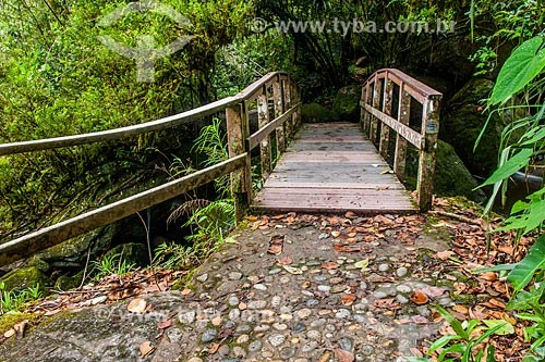  Wooden bridge on the trail for Veu da Noiva Waterfall - Itatiaia National Park  - Itatiaia city - Rio de Janeiro state (RJ) - Brazil