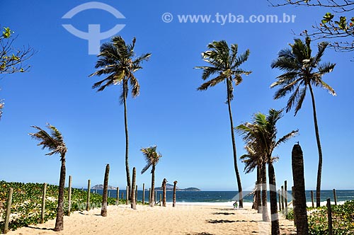  Ipanema Beach waterfront  - Rio de Janeiro city - Rio de Janeiro state (RJ) - Brazil