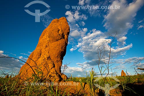  Termite mounds - Emas National Park  - Mineiros city - Goias state (GO) - Brazil