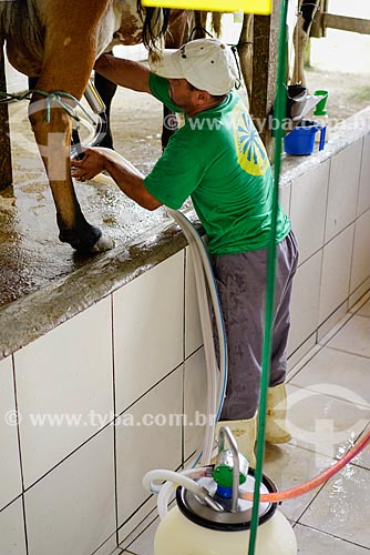  Mechanized milking - Vale das Palmeiras Farm  - Teresopolis city - Rio de Janeiro state (RJ) - Brazil