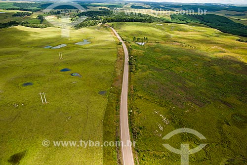  Aerial photo of vegetation area of Campos de Cima da Serra  - Cambara do Sul city - Rio Grande do Sul state (RS) - Brazil