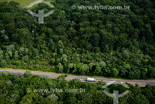  Aerial photo of snippet of RS-235 Highway near to Canela city  - Canela city - Rio Grande do Sul state (RS) - Brazil