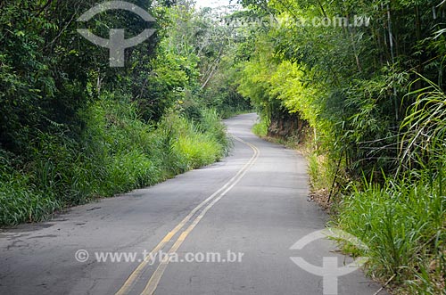  Road - rural zone of Paraiba do Sul city  - Paraiba do Sul city - Rio de Janeiro state (RJ) - Brazil