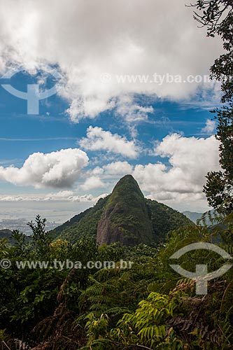  View of Tijuca Peak from Joao Antonio Mountain  - Rio de Janeiro city - Rio de Janeiro state (RJ) - Brazil