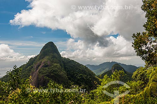  View of Tijuca Peak from Joao Antonio Mountain  - Rio de Janeiro city - Rio de Janeiro state (RJ) - Brazil