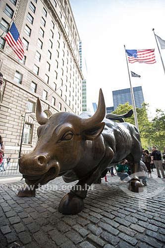  Detail of Charging Bull (1989) - also known as Wall Street Bull  - New York city - New York - United States of America