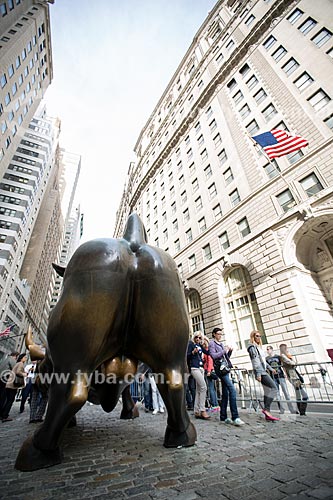  Detail of Charging Bull (1989) - also known as Wall Street Bull  - New York city - New York - United States of America