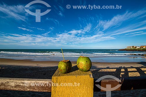  Coconuts - Natal city waterfront  - Natal city - Rio Grande do Norte state (RN) - Brazil