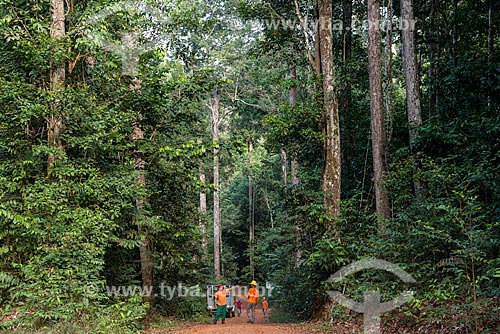  Workers of Tropical Forest Institute (IFT) - Roberto Bauch Center of Forestry  - Paragominas city - Para state (PA) - Brazil