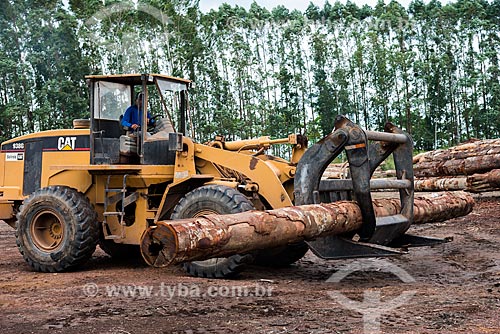  Transport of trunks - Roberto Bauch Center of Forestry  - Paragominas city - Para state (PA) - Brazil