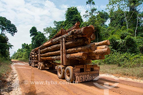  Transport of trunks  - Paragominas city - Para state (PA) - Brazil