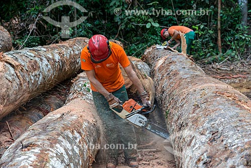  Cutting trunks that will to sawmills  - Paragominas city - Para state (PA) - Brazil