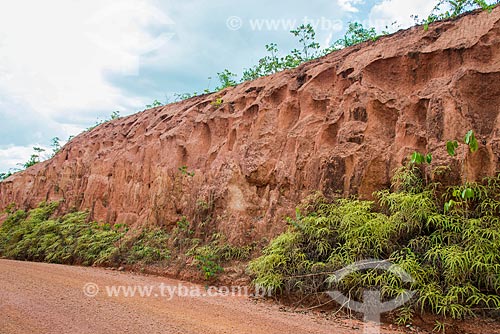  Erosion showing the soil formation of the Amazon region  - Paragominas city - Para state (PA) - Brazil