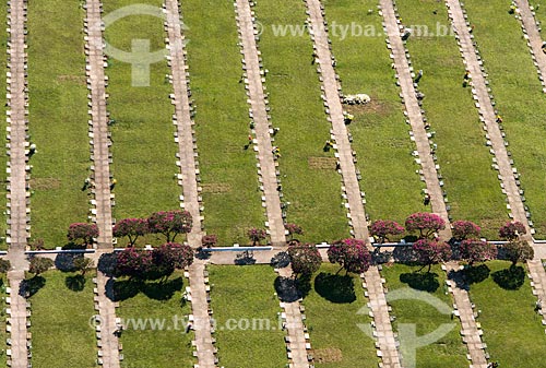  Aerial photo of Horto Florestal Cemetery  - Sao Paulo city - Sao Paulo state (SP) - Brazil