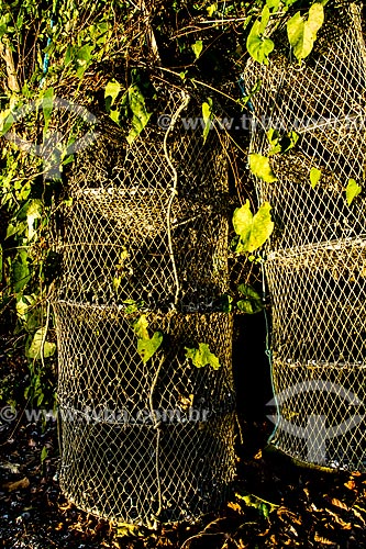  Cages used oyster farm  - Florianopolis city - Santa Catarina state (SC) - Brazil