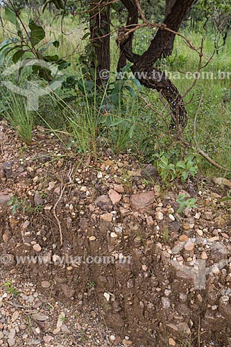  Micaceous quartzite stones - Serra dos Pireneus State Park  - Pirenopolis city - Goias state (GO) - Brazil