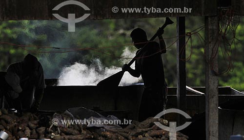  Men working in the production of cassava flour  - Anama city - Amazonas state (AM) - Brazil