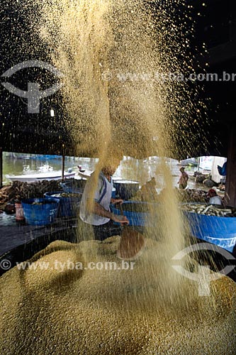  Men working in the production of cassava flour  - Anama city - Amazonas state (AM) - Brazil