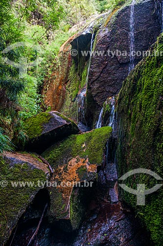  Papel Waterfall (Paper waterfall) - Trail to Morro da Cruz (Hill of the Cross) - Serra dos Orgaos National Park  - Teresopolis city - Rio de Janeiro state (RJ) - Brazil