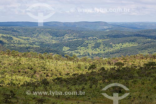  Typical vegetation of cerrado - Serra dos Pireneus State Park  - Pirenopolis city - Goias state (GO) - Brazil