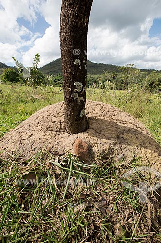  Termite mounds - Serra dos Pireneus State Park  - Pirenopolis city - Goias state (GO) - Brazil